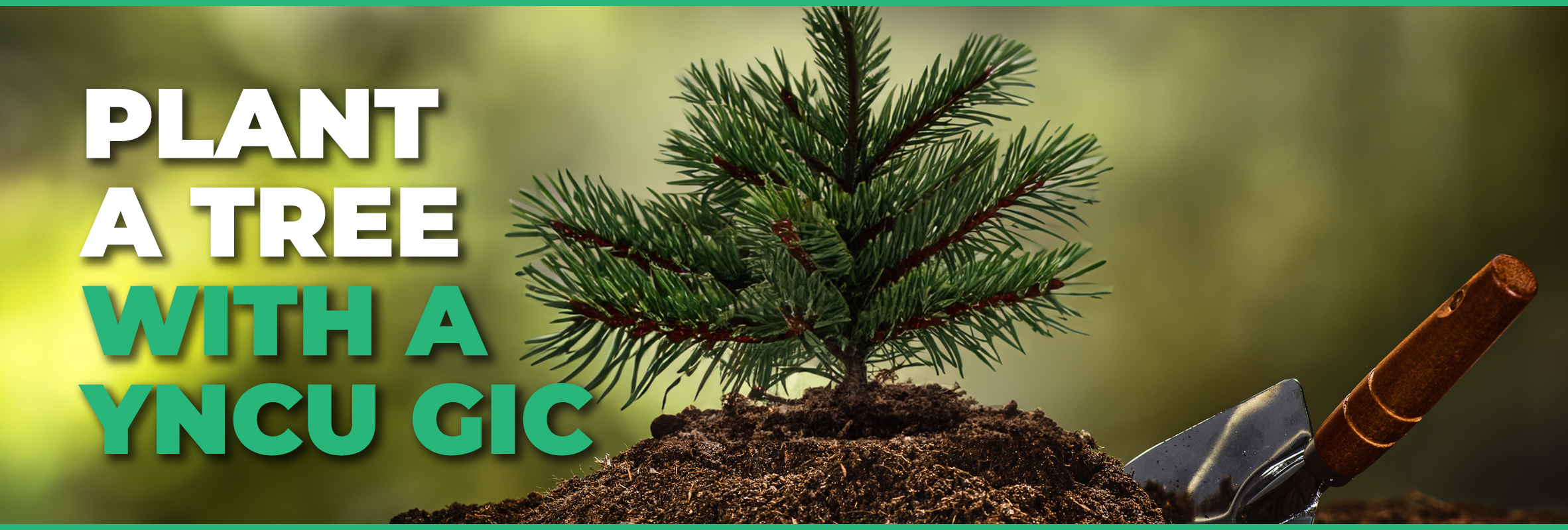 a pine tree sapling planted in a mound of dirt with a hand trowel placed in the dirt beside it